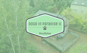 Dogo in Paradise 2